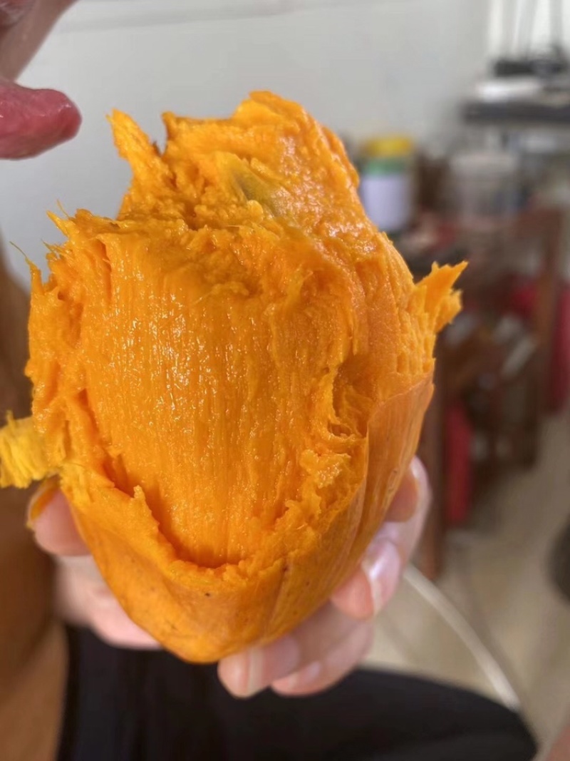 耀堂仙桃苗蛋黄果苗