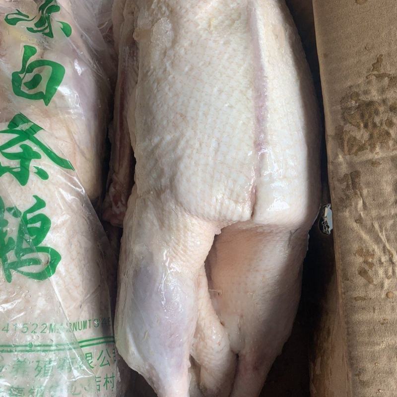 冻鹅新鲜冷冻白条鹅烤鹅烧鹅卤焖鹅专用鹅酒店饭堂1件56