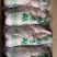 冻鹅新鲜冷冻白条鹅烤鹅烧鹅卤焖鹅专用鹅酒店饭堂1件56