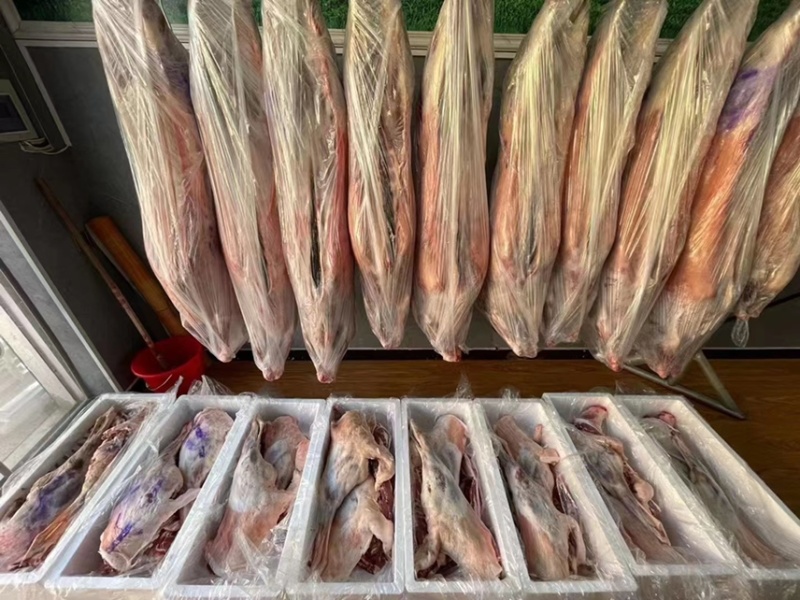 【产地直供】高原散养草膘羊肉白条羊；鲜羊肉，品质保障