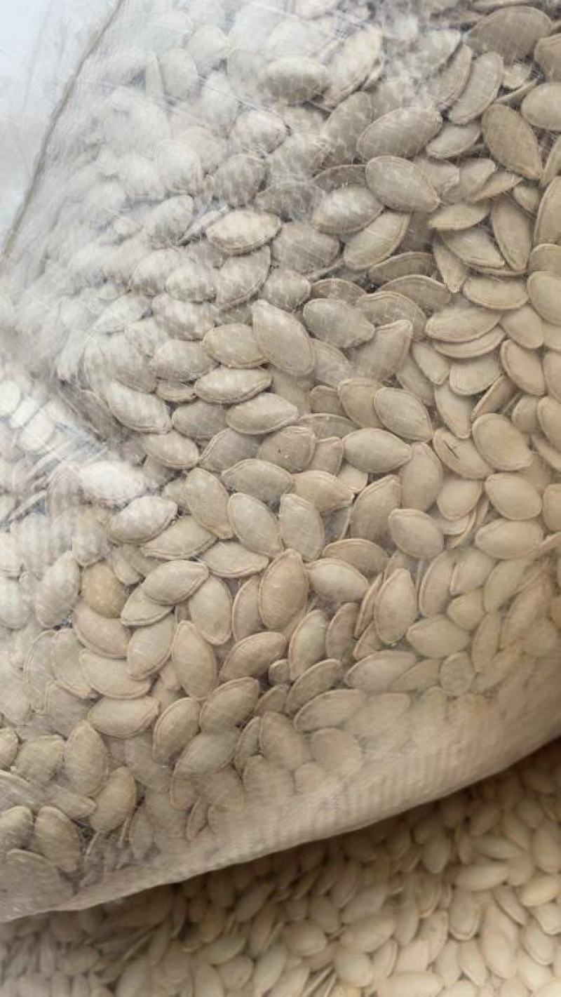 南瓜子椒盐原味大白南瓜子卤味南瓜子颗粒饱满口感香