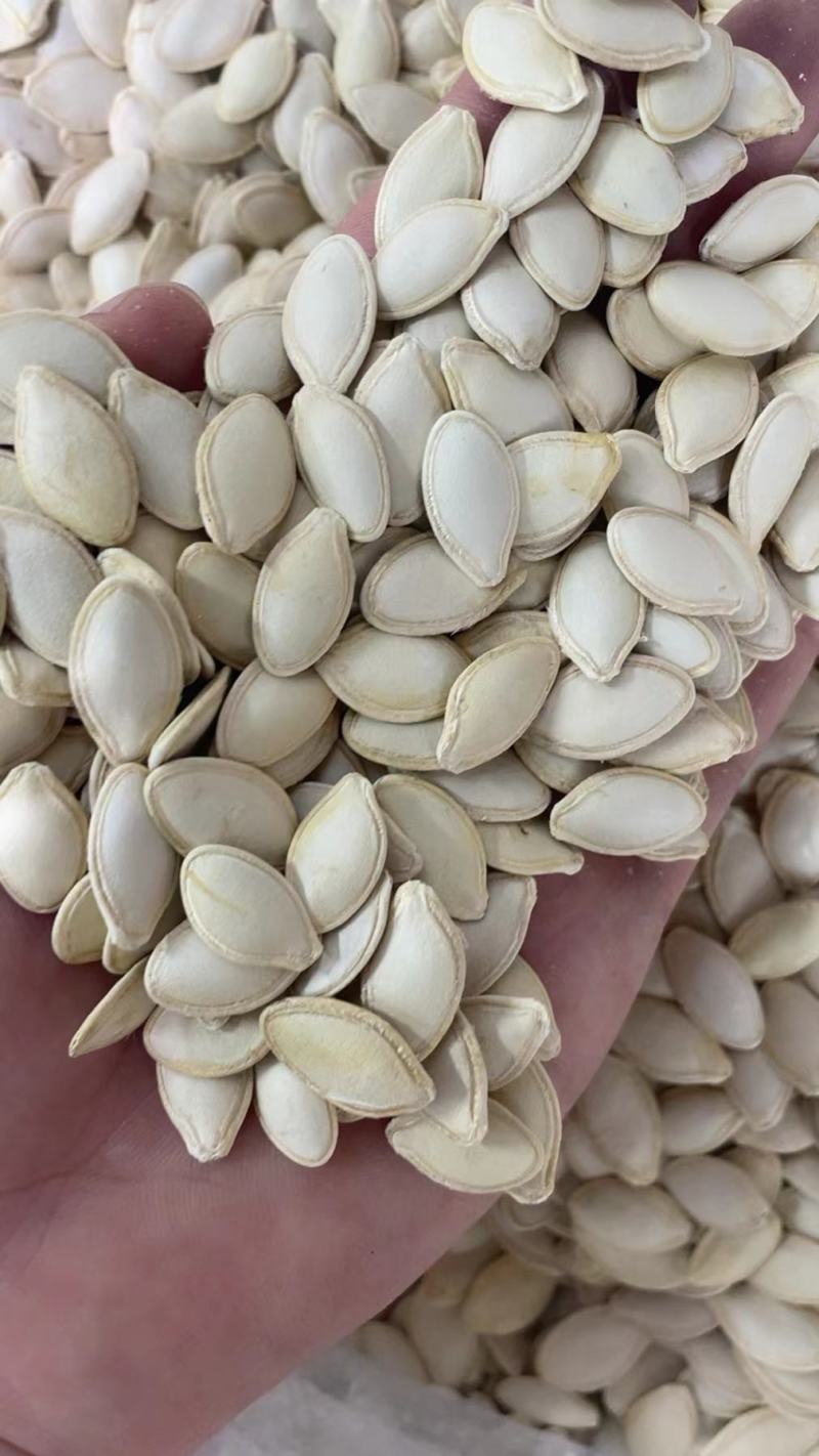 南瓜子椒盐原味大白南瓜子卤味南瓜子颗粒饱满口感香