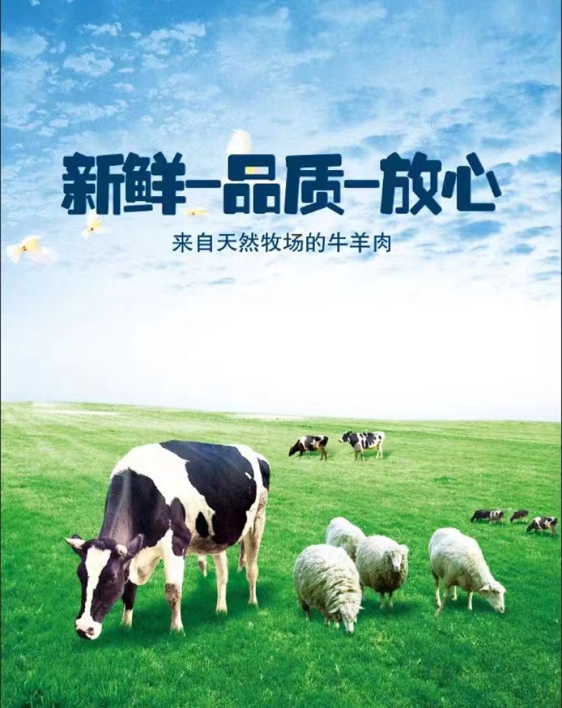 【推荐】甘肃高原草膘牛肉；鲜牛肉现杀新鲜价格好