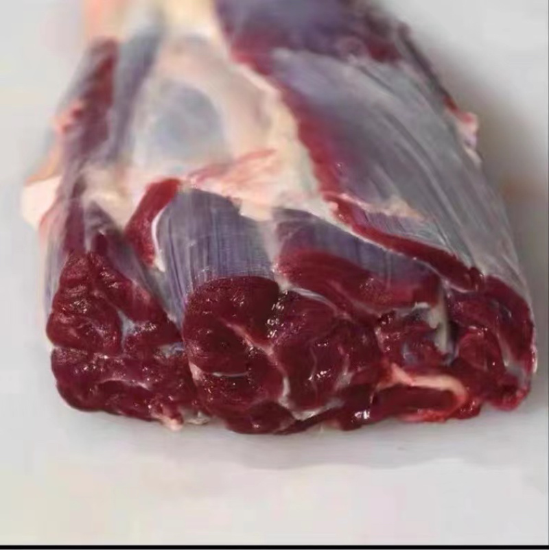 【推荐】甘肃高原草膘牛肉；鲜牛肉现杀新鲜价格好