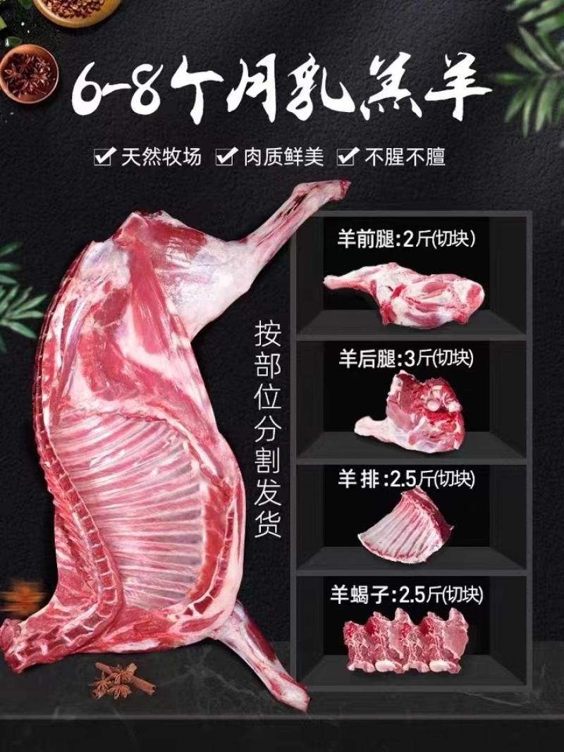 【高原特级草膘羊】鲜羊肉；甘肃跑山羊新鲜现发