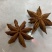 广西精品大红八角无硫烘干卤料大料各种规格供应