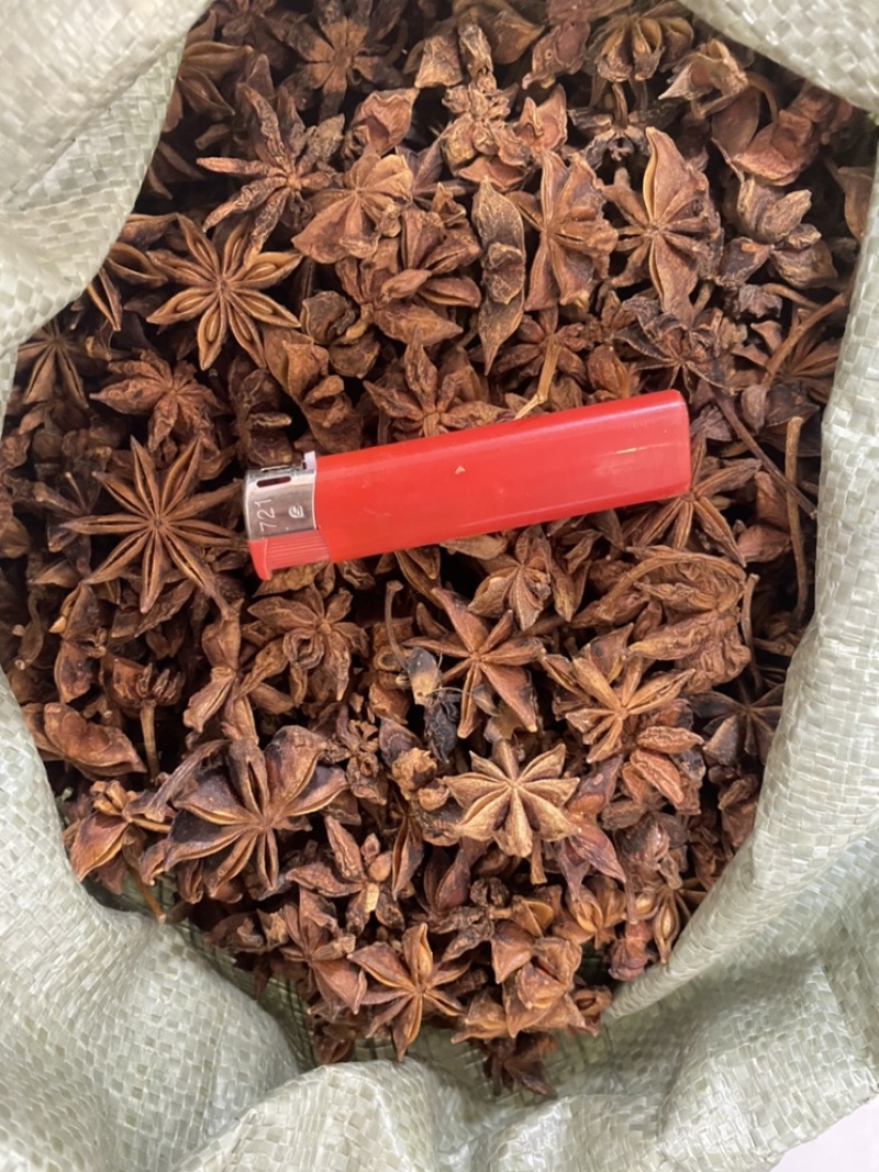 广西精品大红八角无硫烘干卤料大料各种规格供应
