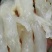 猪蹄筋水发货商用超市酒店食堂厂家大量直发可定制加工贴牌做