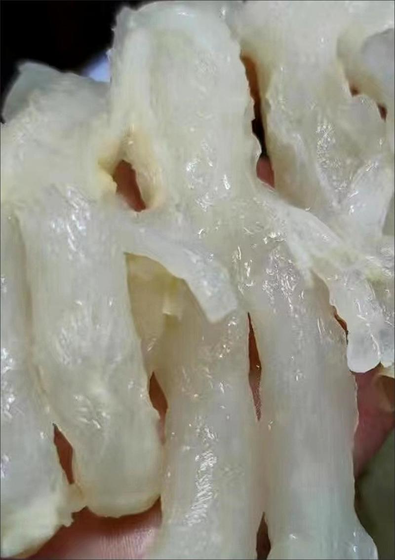 猪蹄筋水发货商用超市酒店食堂厂家大量直发可定制加工贴牌做