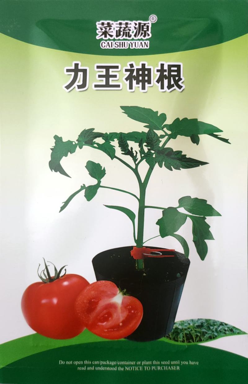 力王神根番茄砧木种子嫁接番茄种籽亲和力好高抗青枯病枯萎病