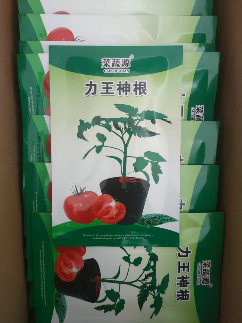 力王神根番茄砧木种子嫁接番茄种籽亲和力好高抗青枯病枯萎病
