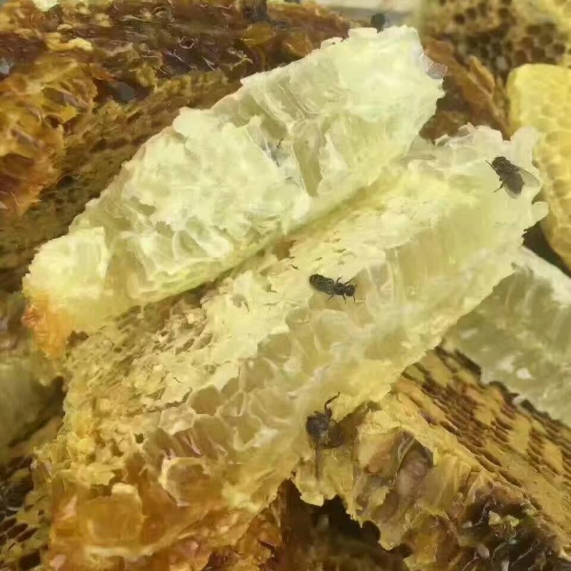 农村的土蜂蜜，数量不多，有想要的联系我