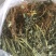 【推荐】广西南宁岩黄连干货
