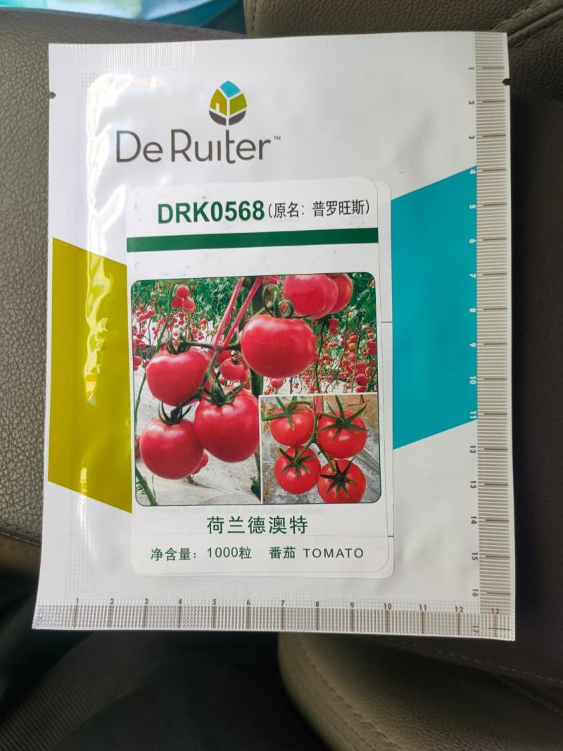 普罗旺斯番茄种子西红柿种籽荷兰进口四季种苗抗病高产口感好