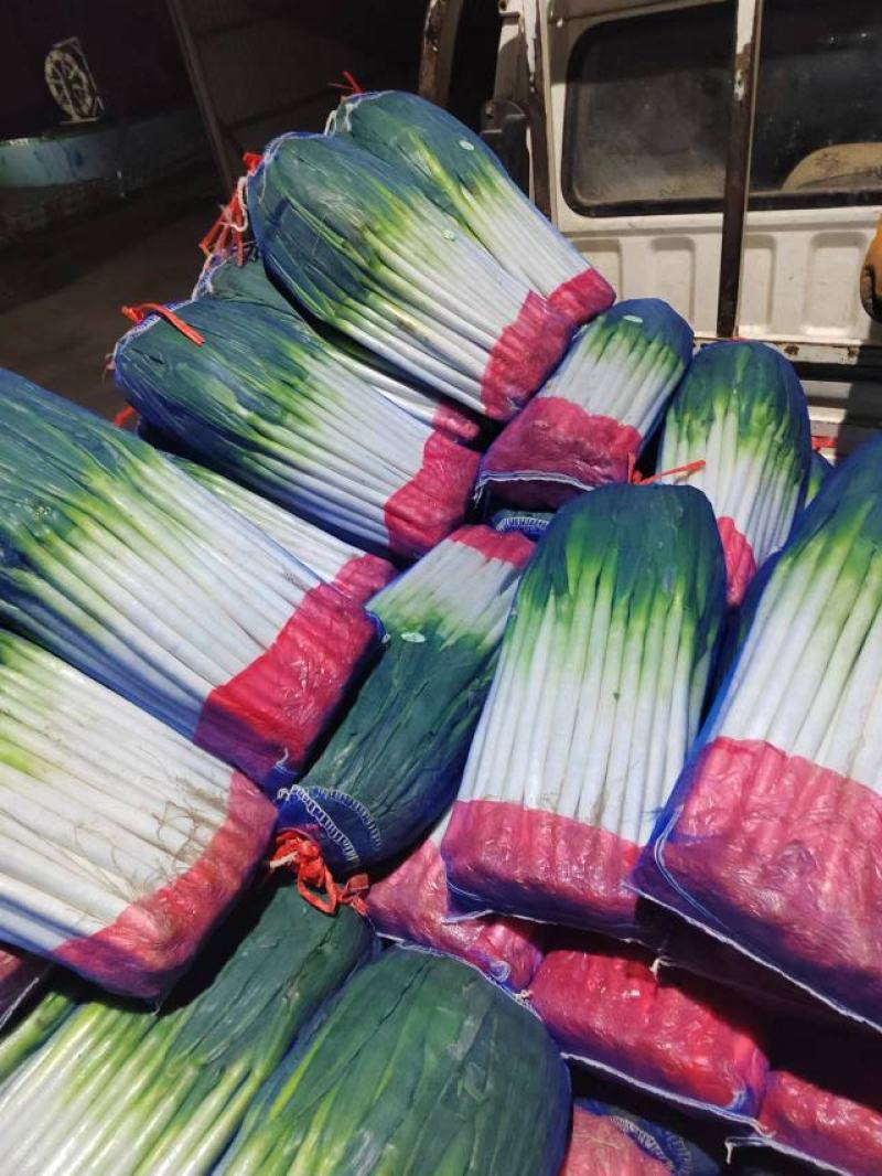 铁杆大葱