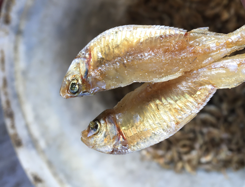 油炸，去鳞，白帆鱼，白饭鱼，银鱼，白鱼，海白肖，白鱼