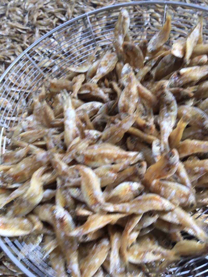油炸，去鳞，白帆鱼，白饭鱼，银鱼，白鱼，海白肖，白鱼