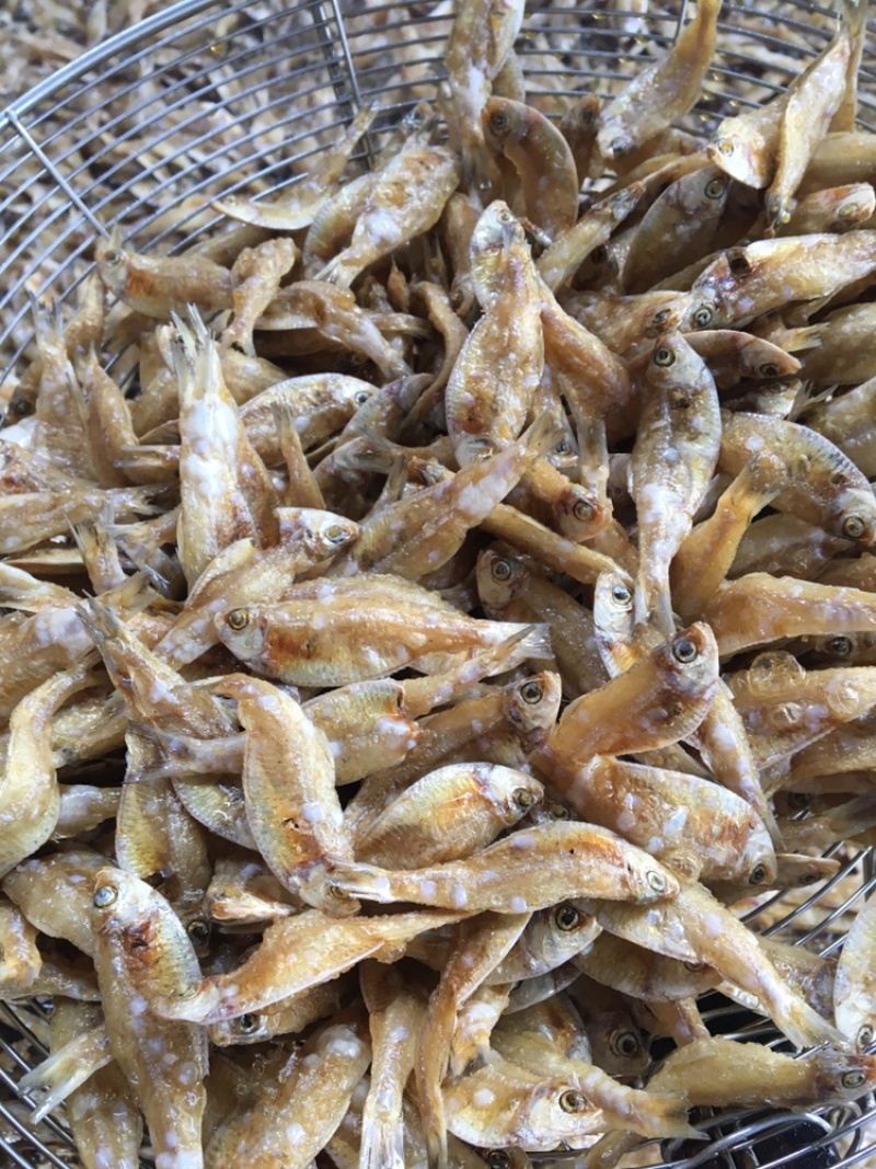 油炸，去鳞，白帆鱼，白饭鱼，银鱼，白鱼，海白肖，白鱼