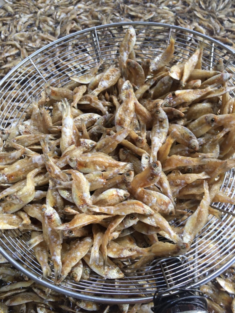 油炸，去鳞，白帆鱼，白饭鱼，银鱼，白鱼，海白肖，白鱼