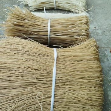 现货！现货！现货！红薯粉条，山药粉条，大量有货，