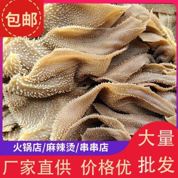 原色毛肚整个牛百叶整肚带底板商用毛肚批发火锅麻辣烫冒菜毛