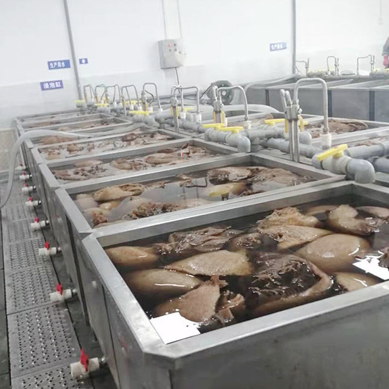 原色毛肚整个牛百叶整肚带底板商用毛肚批发火锅麻辣烫冒菜毛