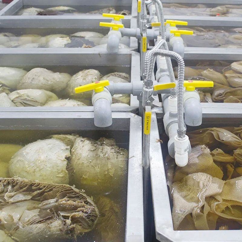 原色毛肚整个牛百叶整肚带底板商用毛肚批发火锅麻辣烫冒菜毛