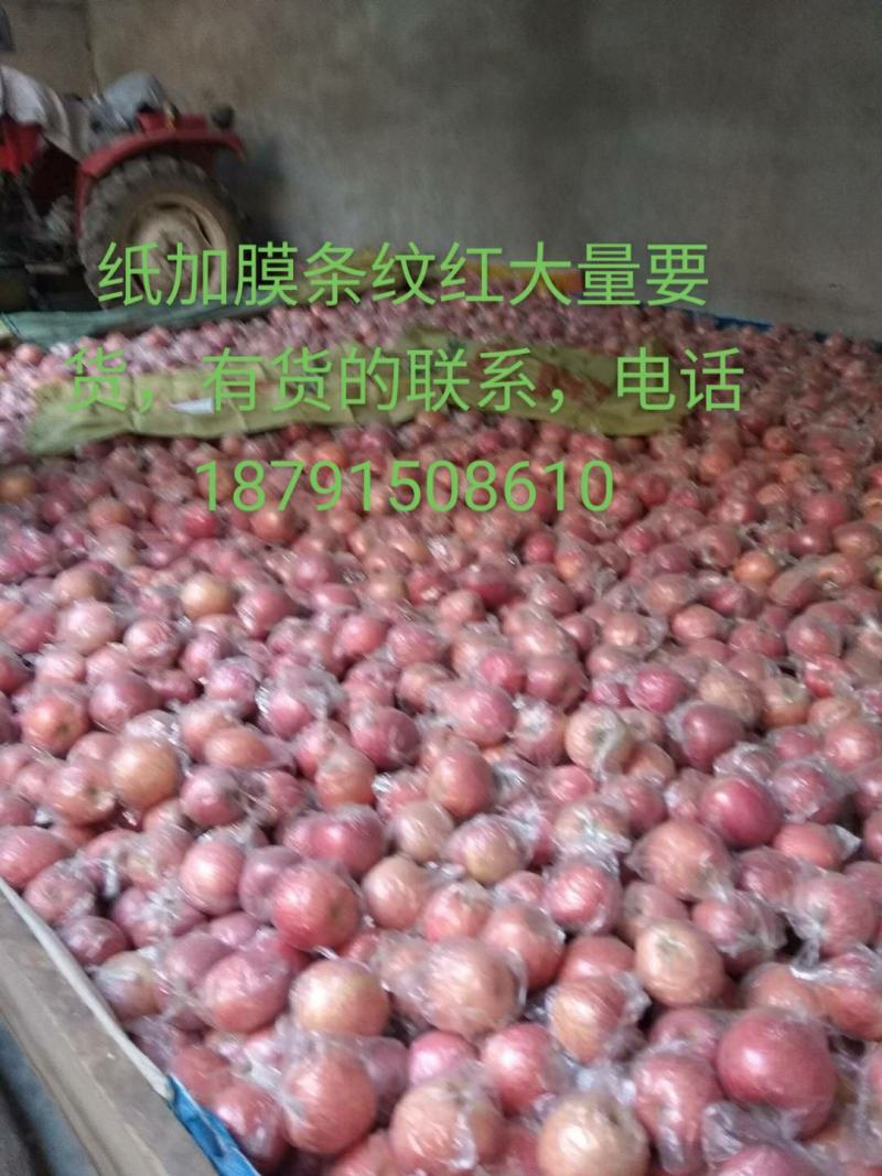 陕西咸阳乾县纸加膜红富士苹果，颜色靓丽，果面干净，脆甜多
