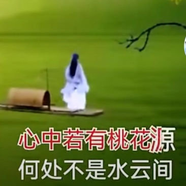 东瓜皮