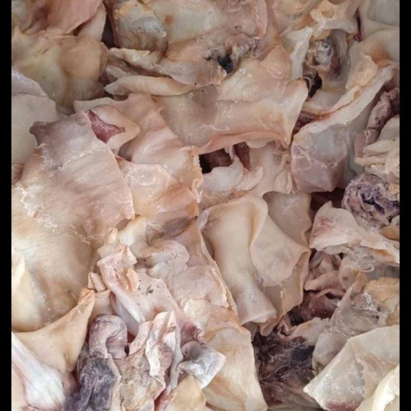东海鱿鱼脖，鱿鱼脖头颈片干片淡盐款电商地摊农贸R销货