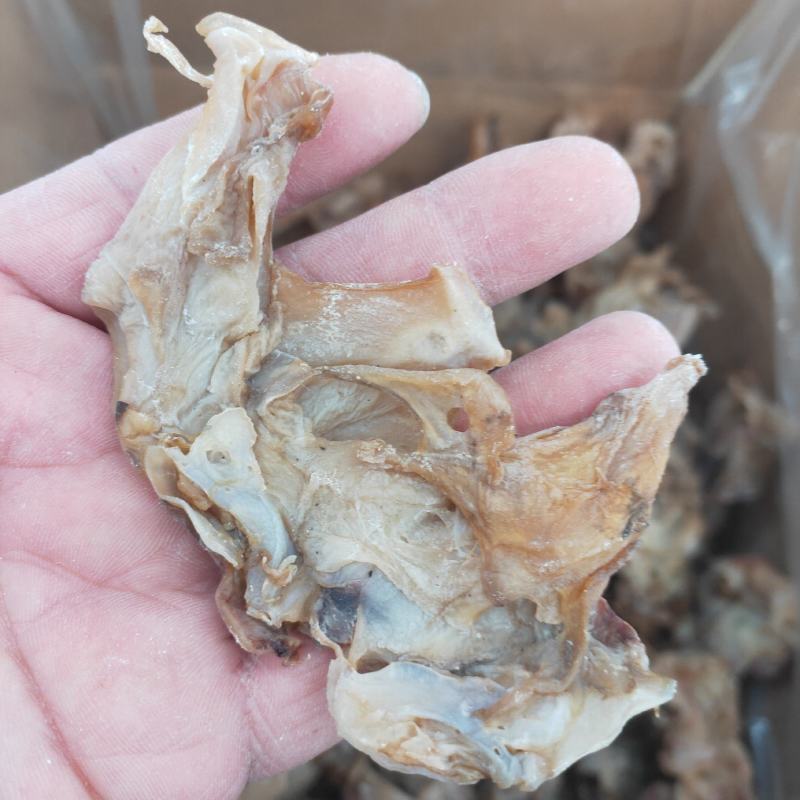 东海鱿鱼脖，鱿鱼脖头颈片干片淡盐款电商地摊农贸R销货