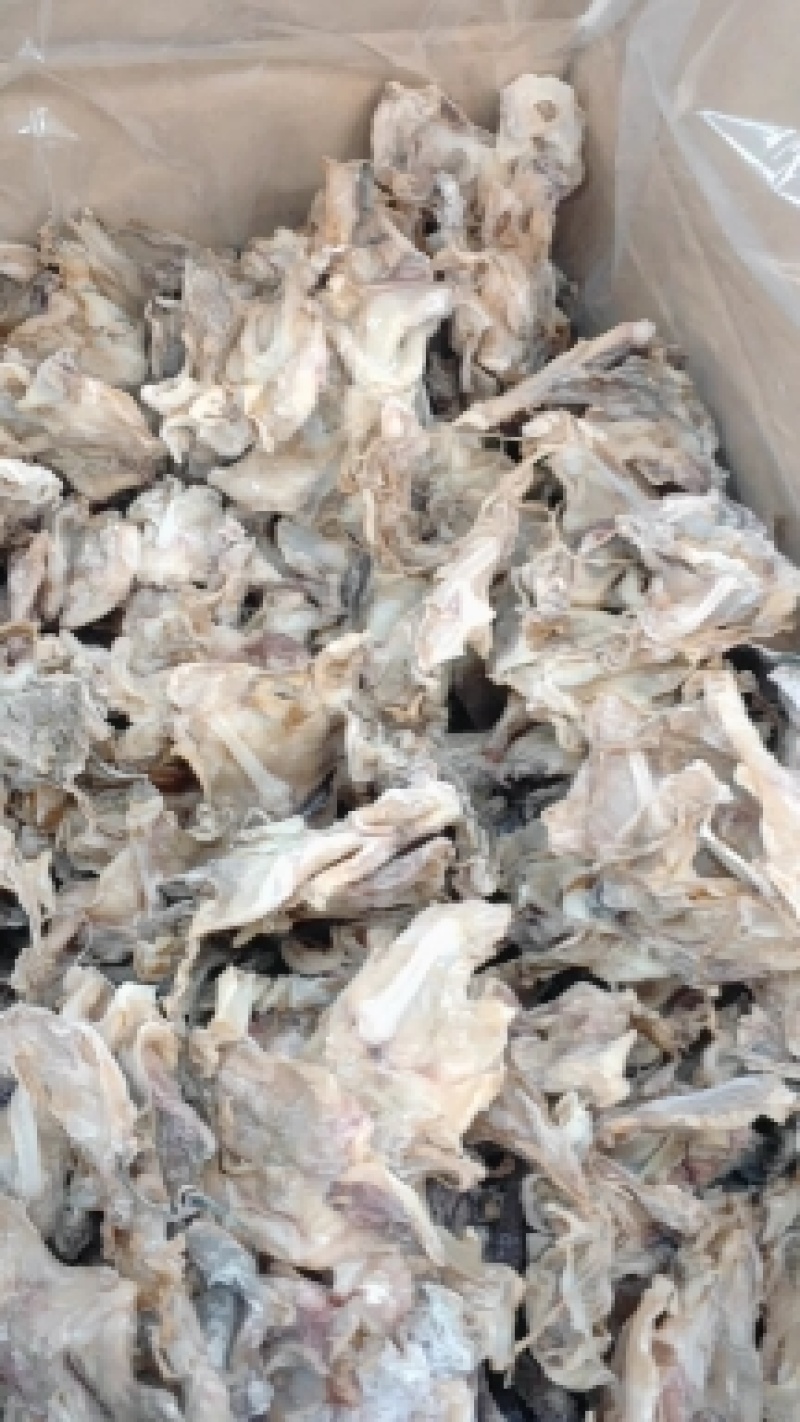 东海鱿鱼脖，鱿鱼脖头颈片干片淡盐款电商地摊农贸R销货