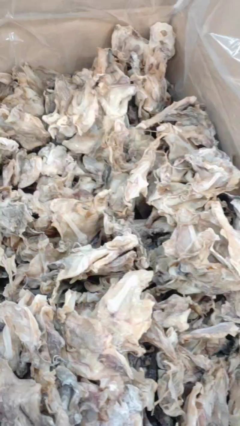 东海鱿鱼脖，鱿鱼脖头颈片干片淡盐款电商地摊农贸R销货