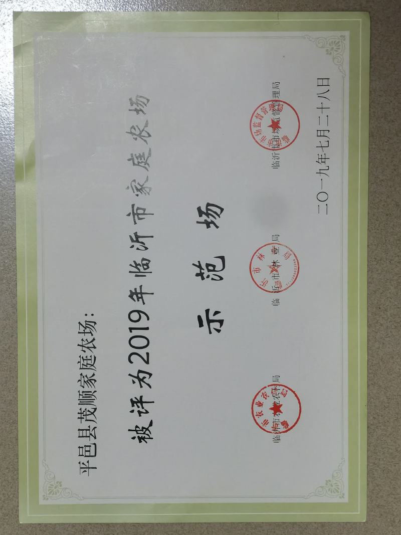 树形四季金银花苗，观赏，占地，采花都可以