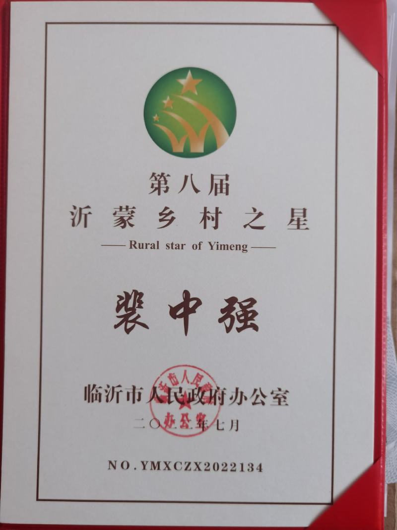 树形四季金银花苗，观赏，占地，采花都可以