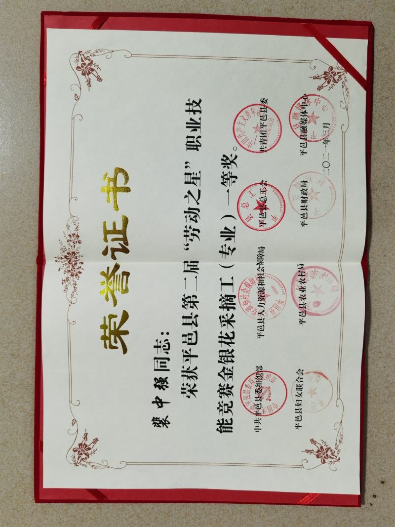 树形四季金银花苗，观赏，占地，采花都可以