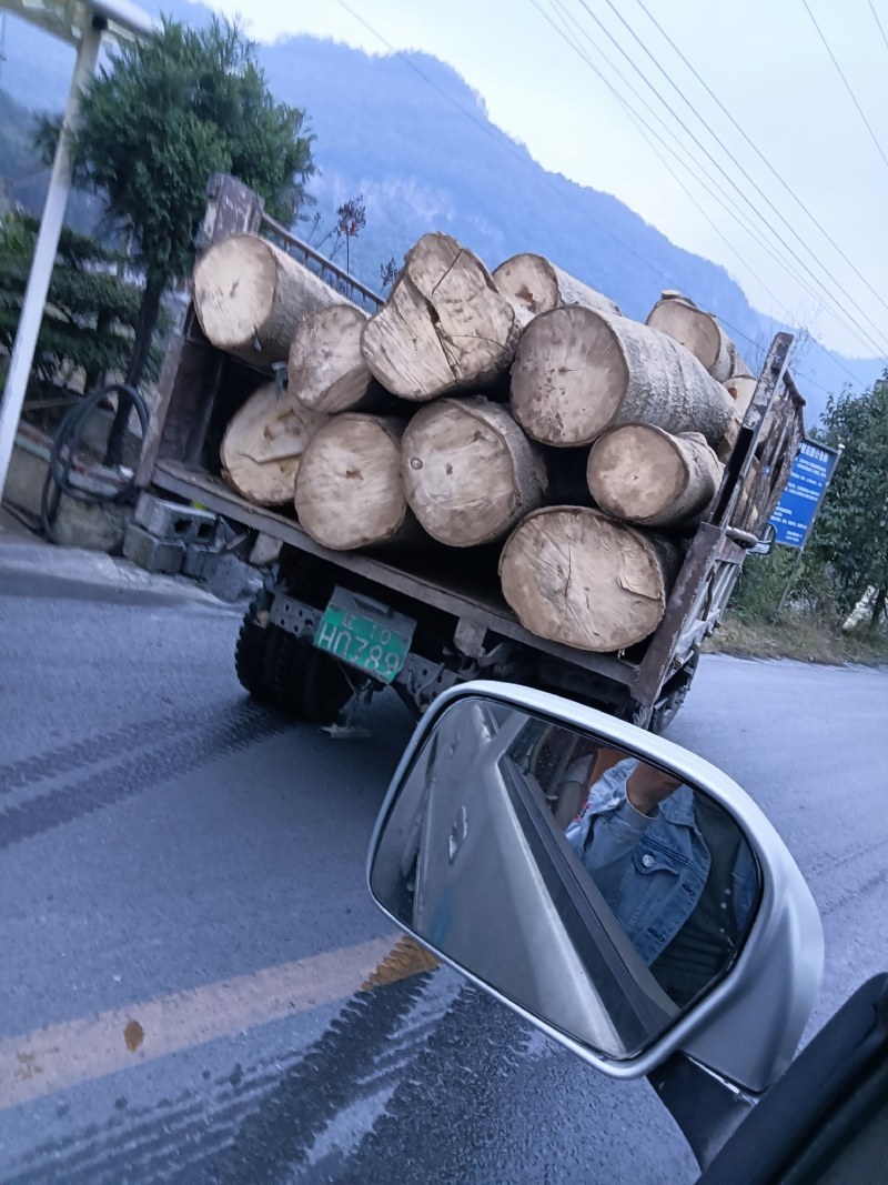 木材长度可定