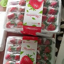 山东甜宝草莓