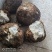 【精品】云南无硫全手工茯苓坨茯苓片茯神片源头产地发货