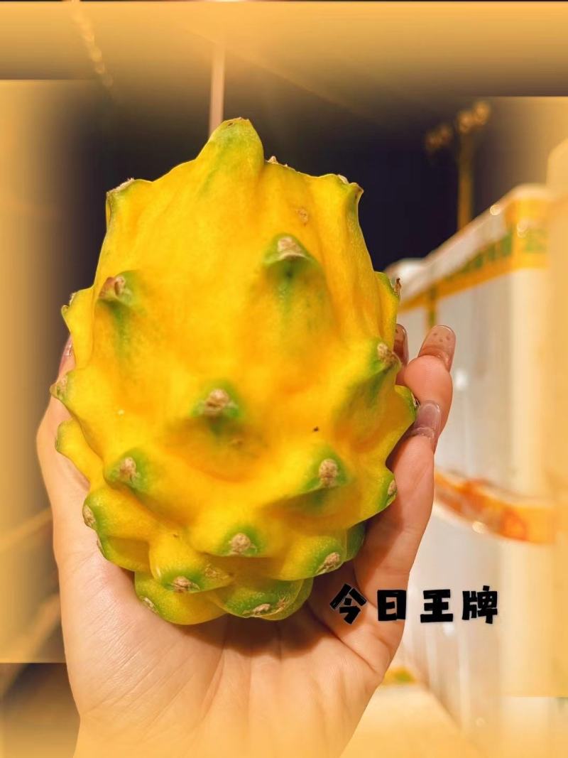 海南燕窝果/麒麟果/燕窝果/对接商超/航空落地配/水果店