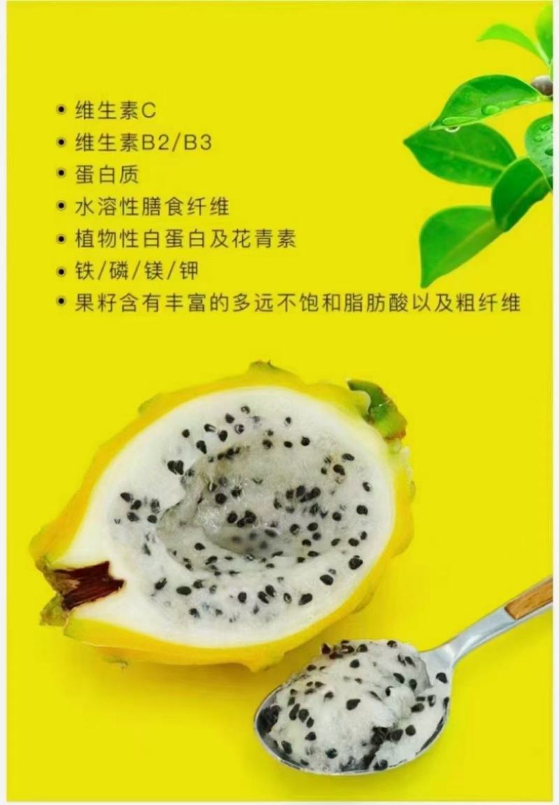 海南燕窝果/麒麟果/燕窝果/对接商超/航空落地配/水果店