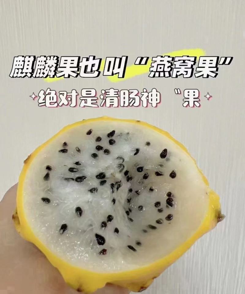 海南燕窝果/麒麟果/燕窝果/对接商超/航空落地配/水果店