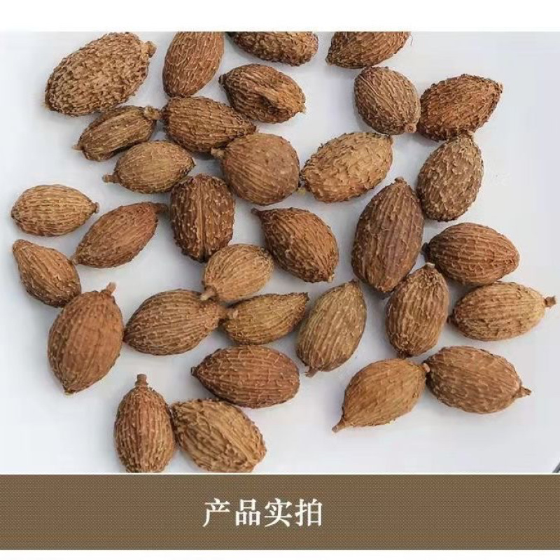 阳春砂仁中药材批发精选优质砂仁毛砂仁香料阳春砂仁粉