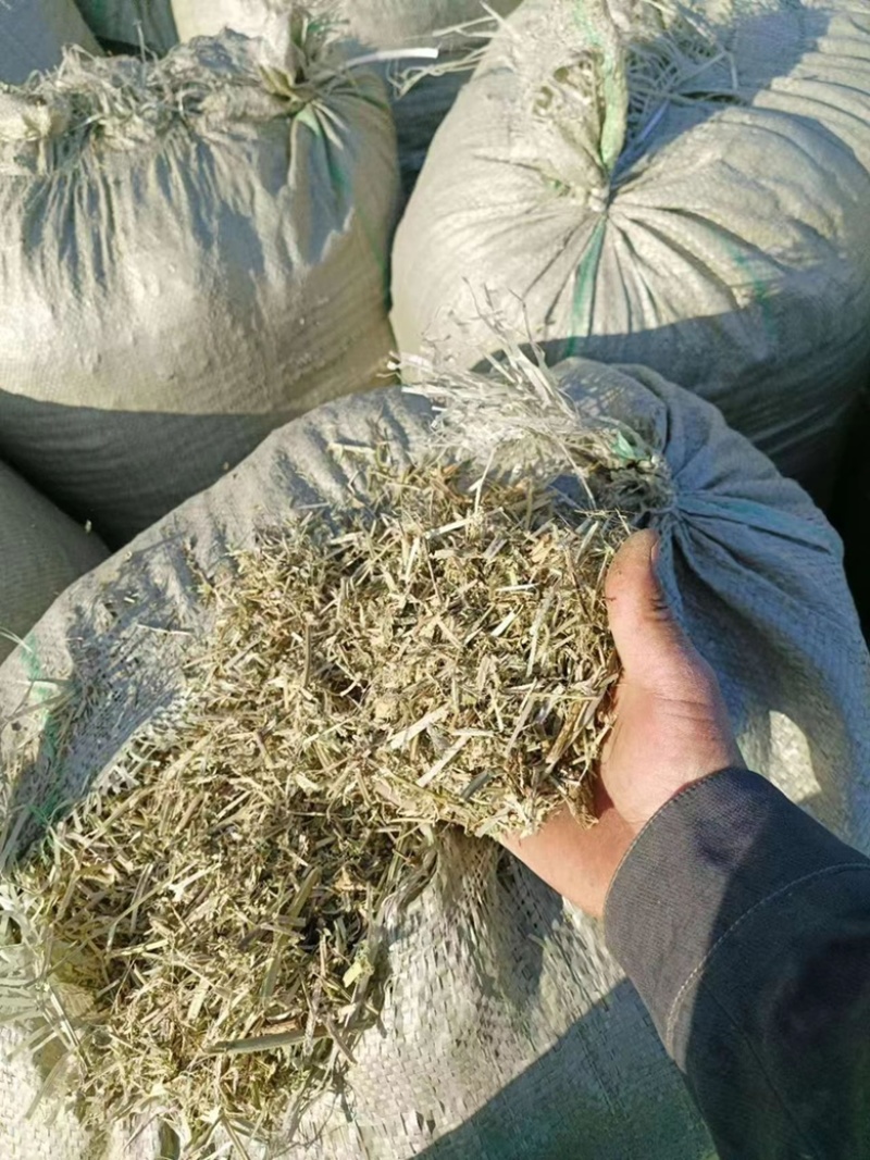 22年河南新花生秧牛羊马兔草料！无土无霉无霉更健康