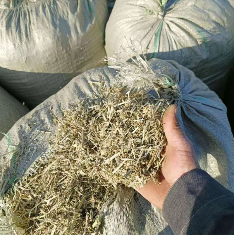 22年河南新花生秧牛羊马兔草料！无土无霉无霉更健康