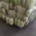 【推荐】精品黄心菜大量上市中质量好价格低商超品质