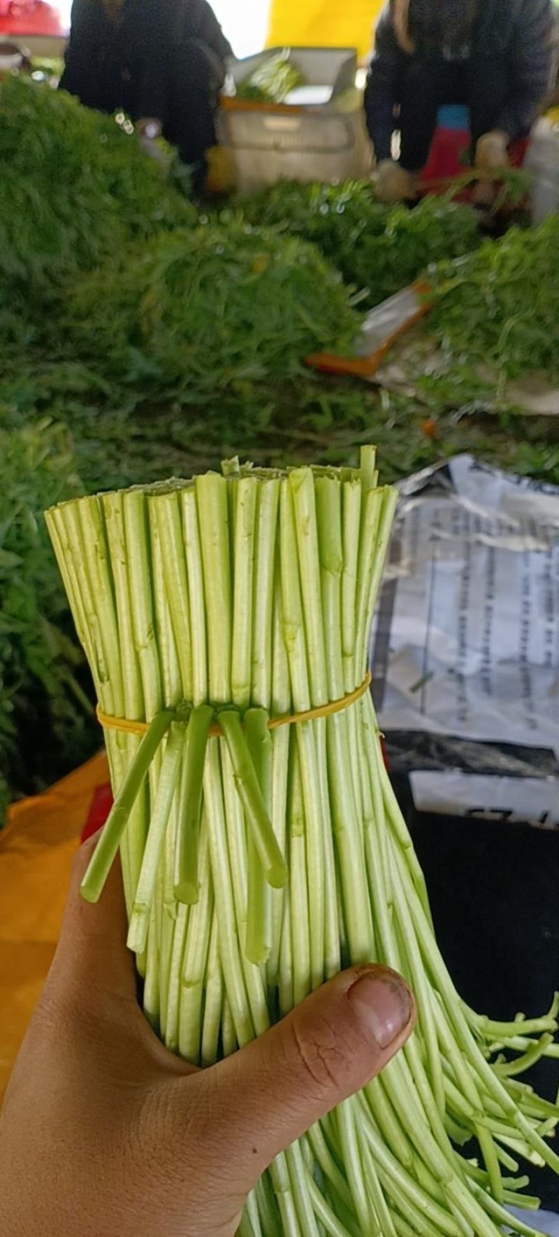 嫩芦蒿
