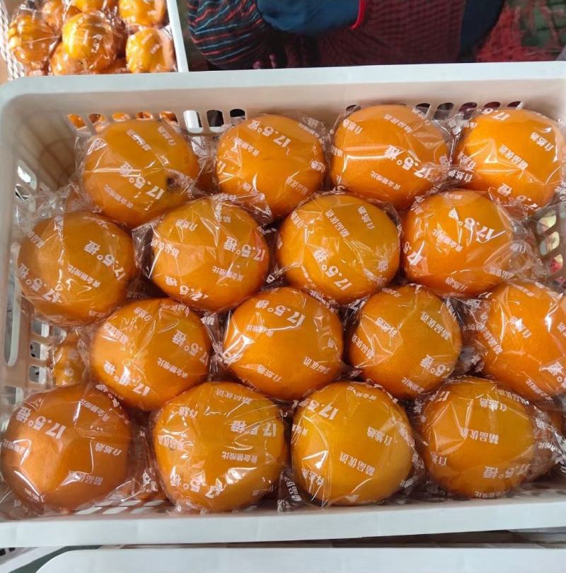 湖北宜昌纽荷尔大量上市供应商超电商市场一手货源物美价廉！