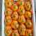 湖北宜昌纽荷尔大量上市供应商超电商市场一手货源物美价廉！