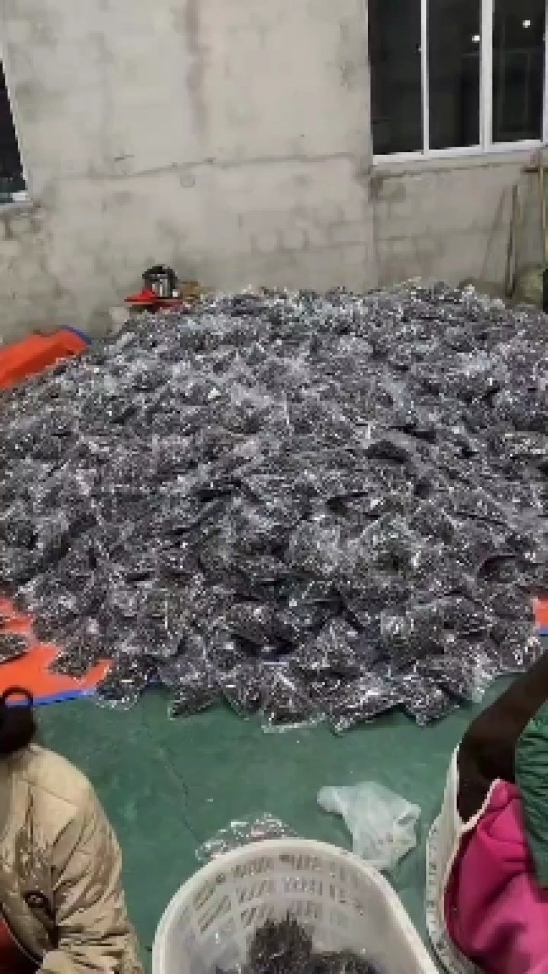 东港银鱼干，沙里钻鱼干，干度好全是籽，质量嘎嘎的